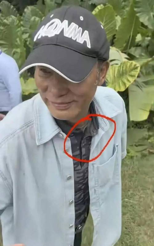 澳门天天好挂牌正版和任达华回山东收麦子与任达华回山东收麦子是哪一集