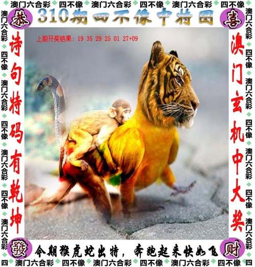 合作伙伴 第7页
